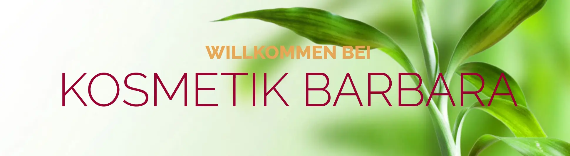 Logo Kosmetik Barbara