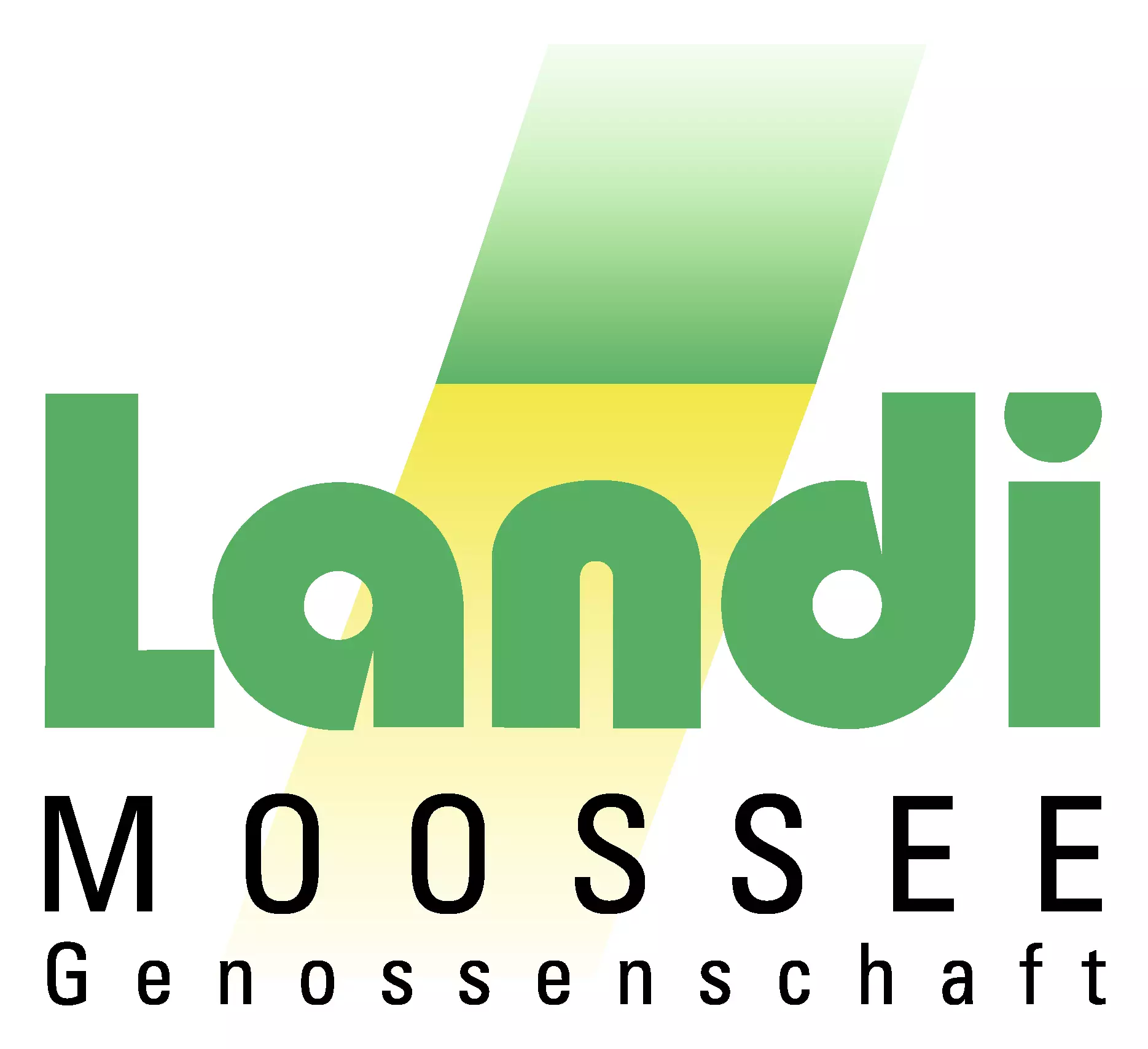 Logo Landi