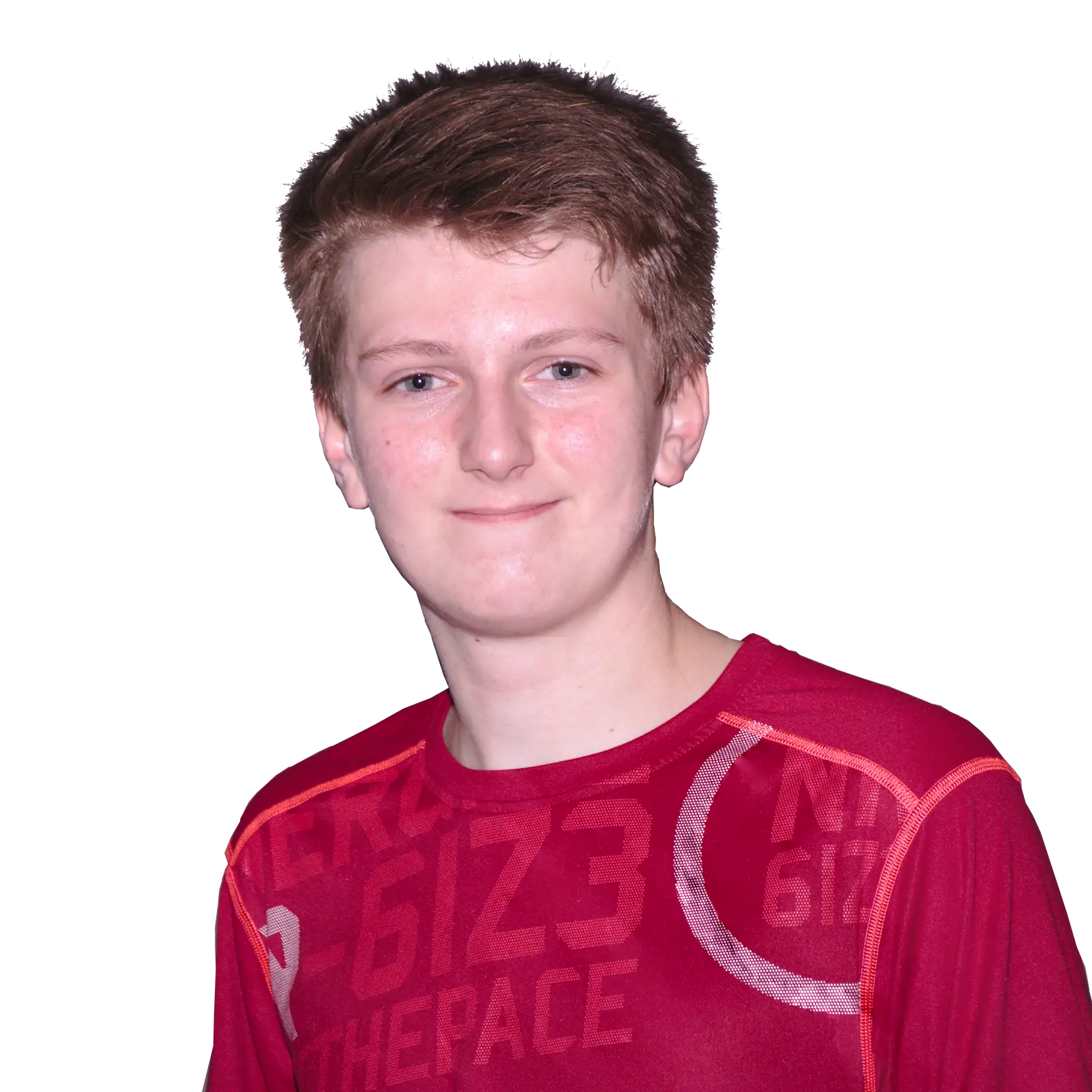 Porträt von Raphael